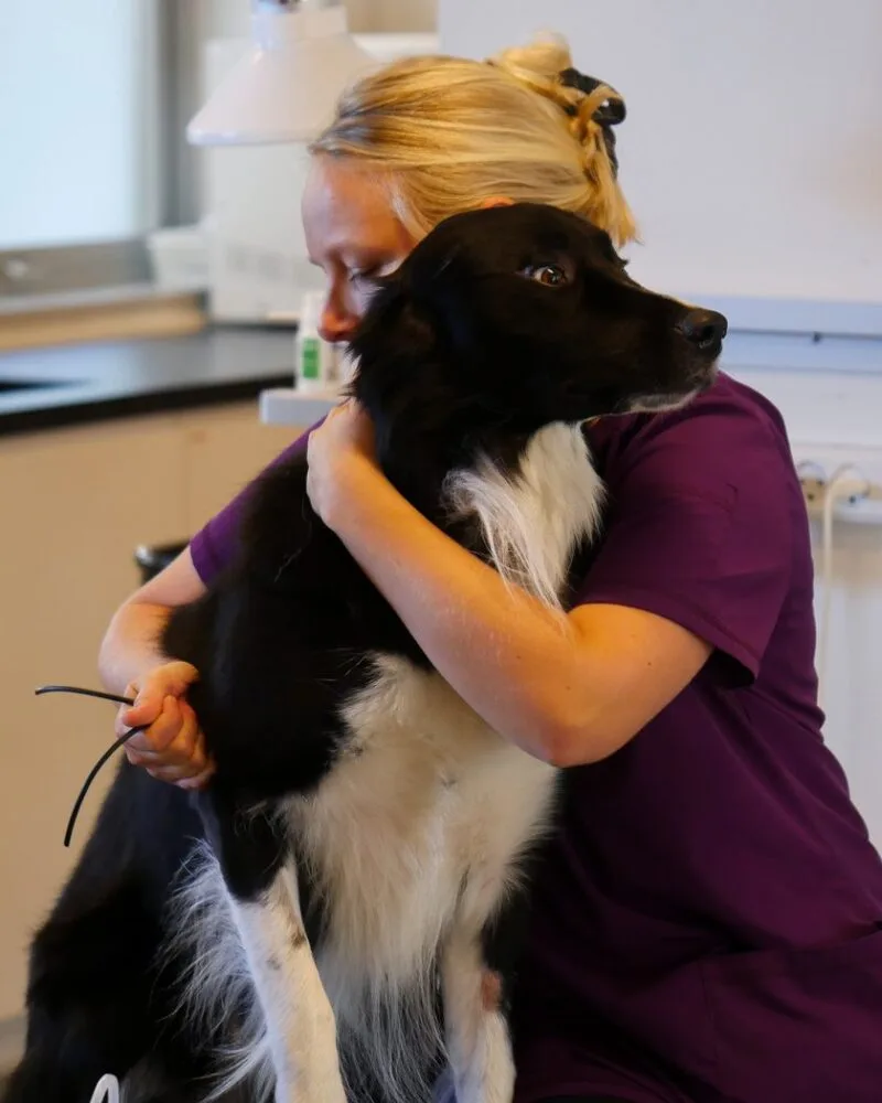 Tilfreds dyreejer med kæledyr på Center Dyreklinik · VetPlan-medlem